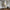 12 Helium Balloons Bouquet